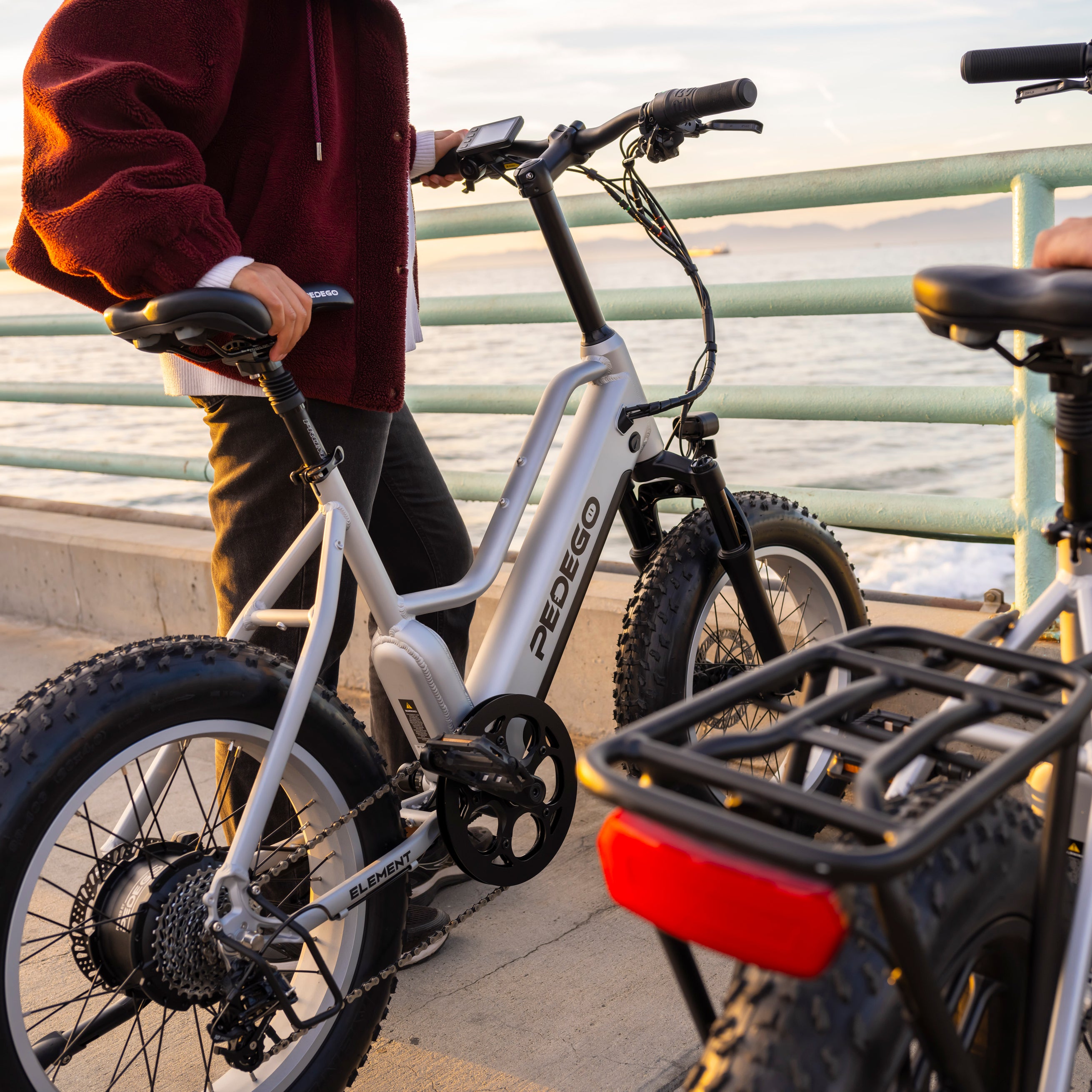 Element: Platinum Edition – Pedego