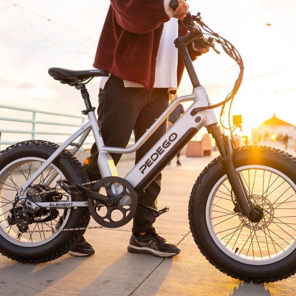 electric bicycle with pedals Dirwin 500W 48V Pacer Lite Long Range Step-Thru Bike 200 N.m for strong off Pedal Assist Electric Bikes |