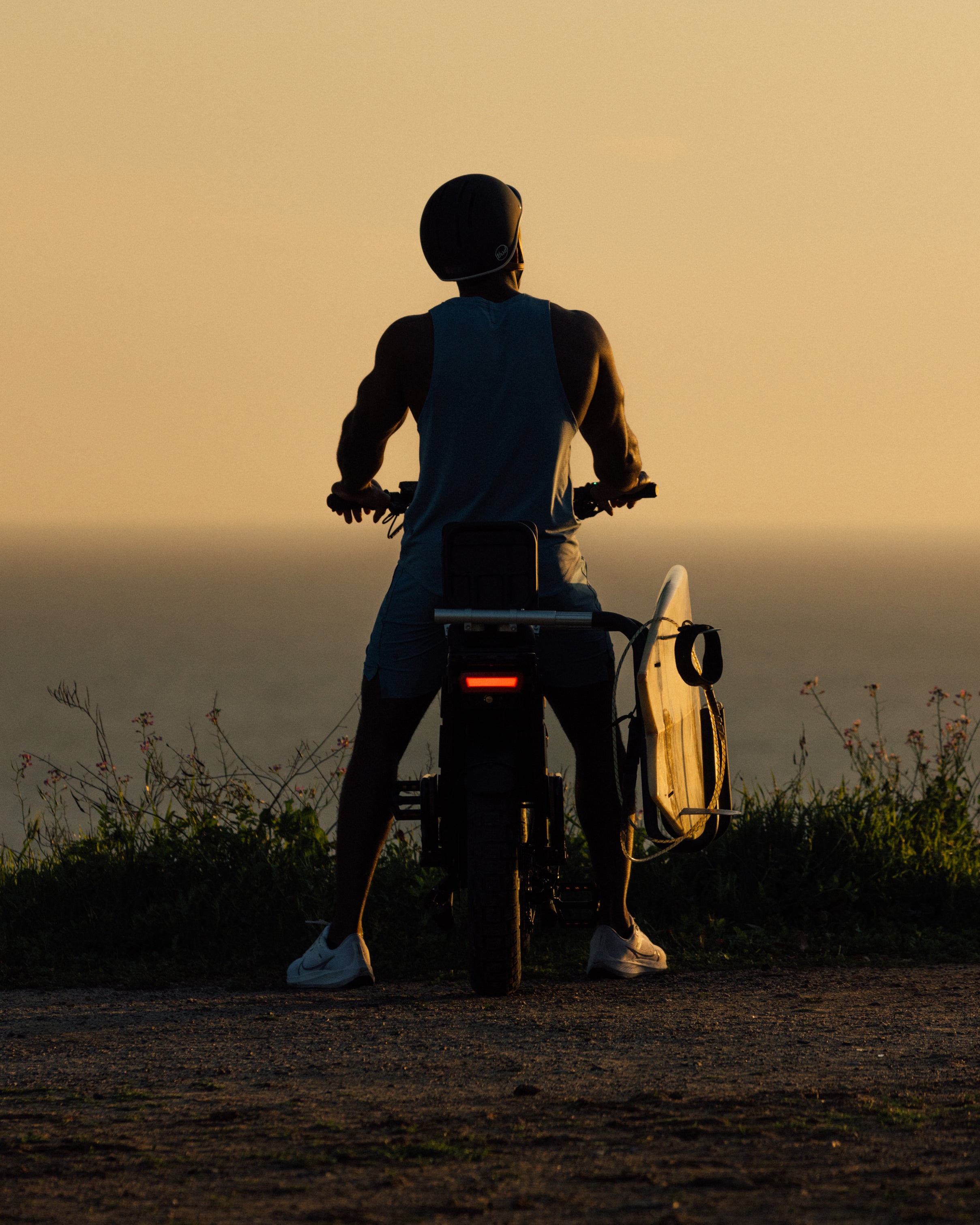 Perego Bus Mtb Pedego Electric Bikes | Cargo