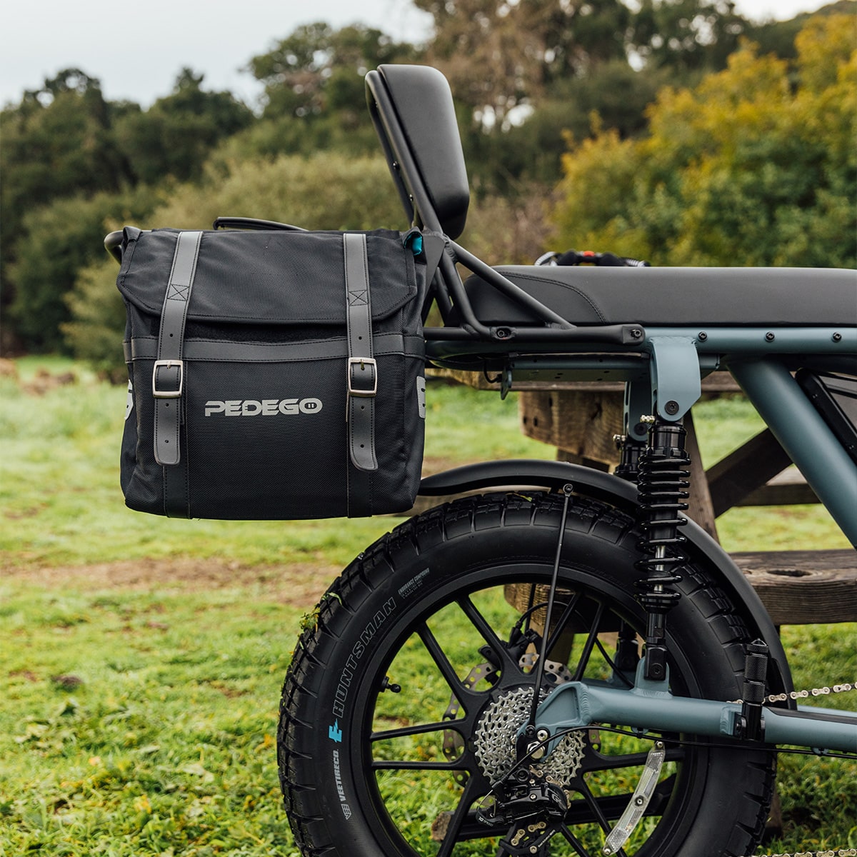 Pedigo Rack Pedego Electric Bikes | Sissy Bar with Rack - Moto