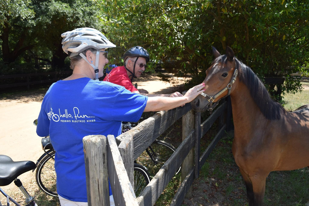 Pedego riders stopping to pet a horse while on the Aiken horse tour.