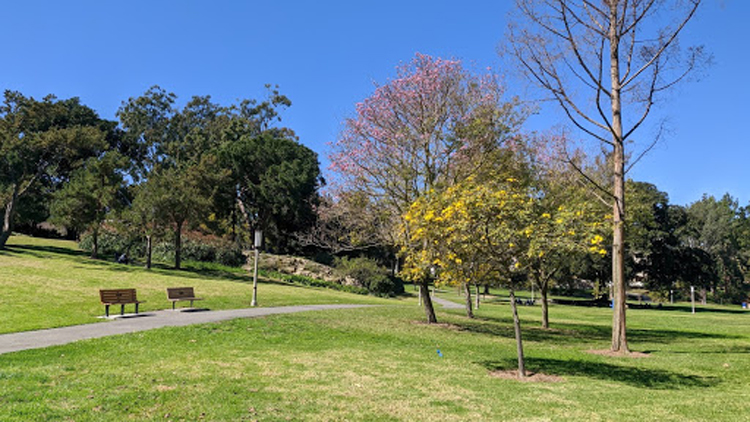 Park at UCI