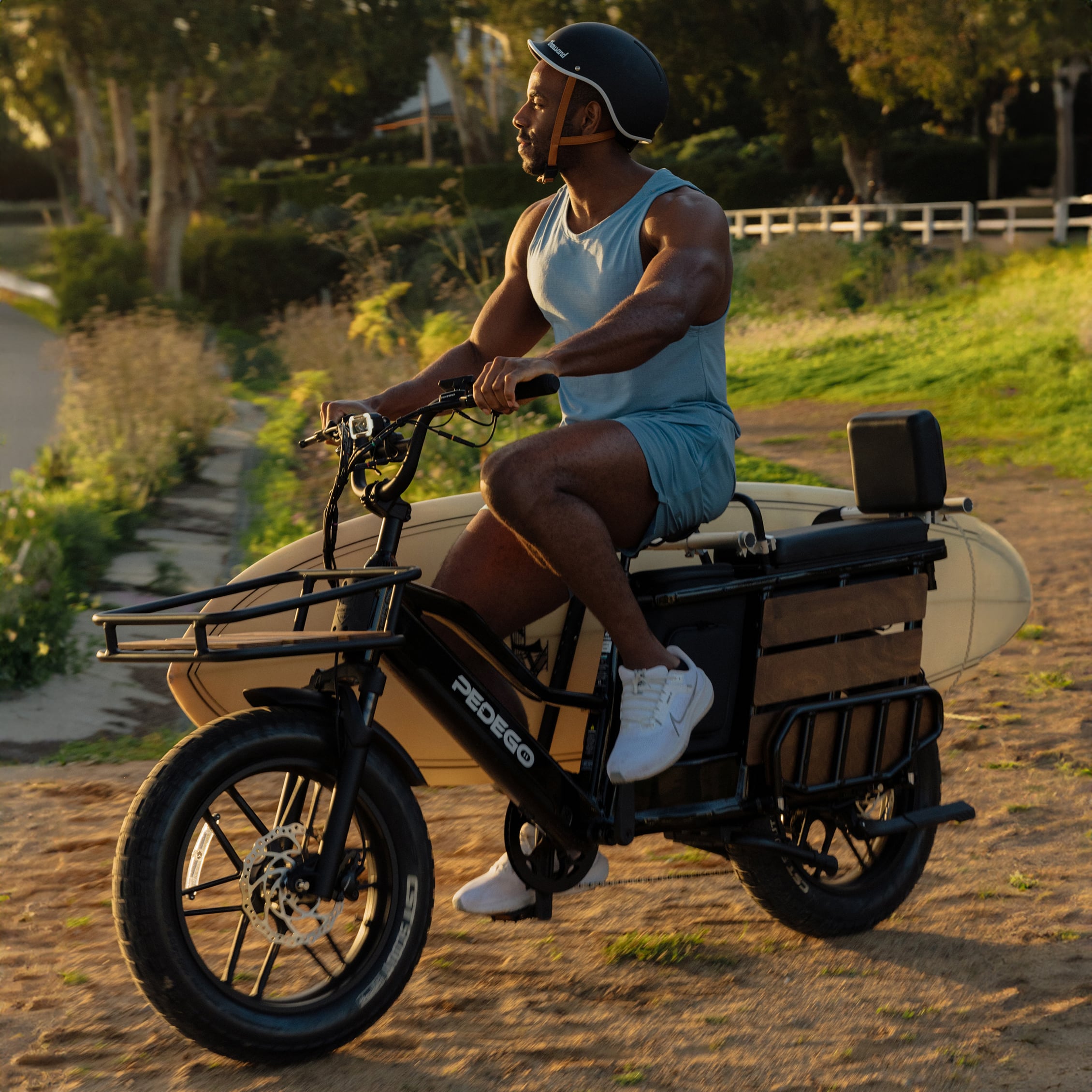 CARGO Pedego Electric Bikes